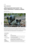 „Wildschweinkinder leben herrlich“