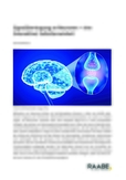 Signalübertragung an Neuronen