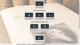Evolutionstheorie Darwin