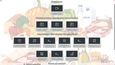 Food categories, diet and mealtimes – Practising vocabulary